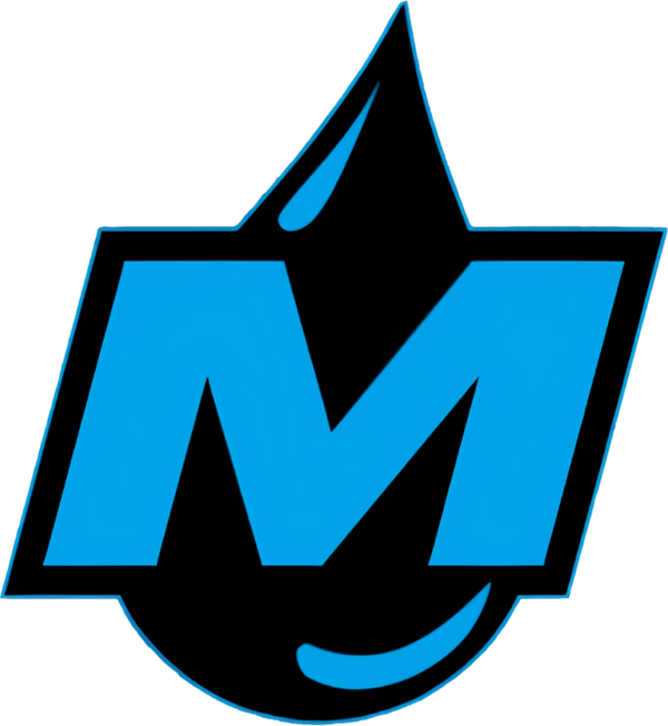 Logo Moist Esport